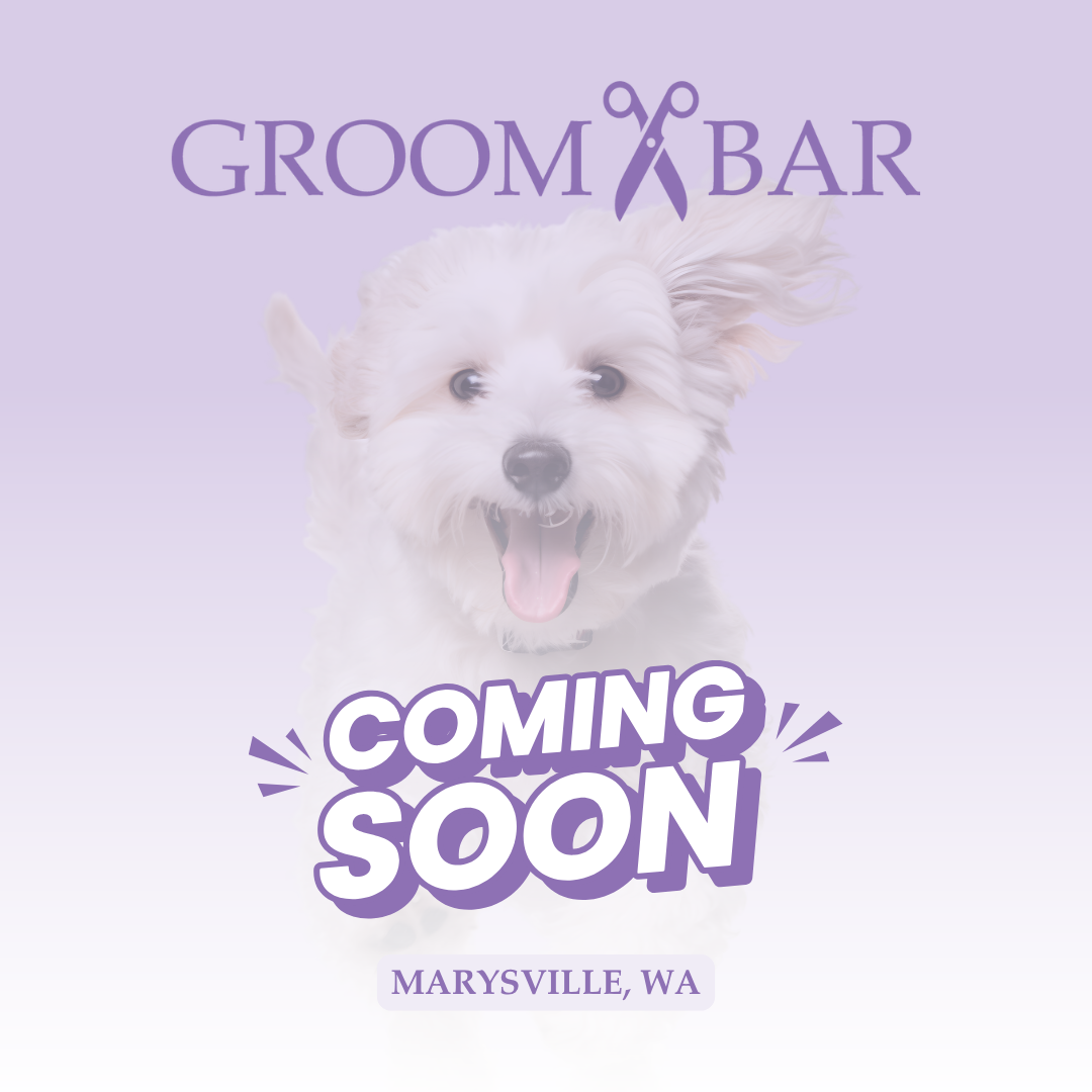 A picture of a dog with a groombar logo, and the words coming soon then Marysville, Washington